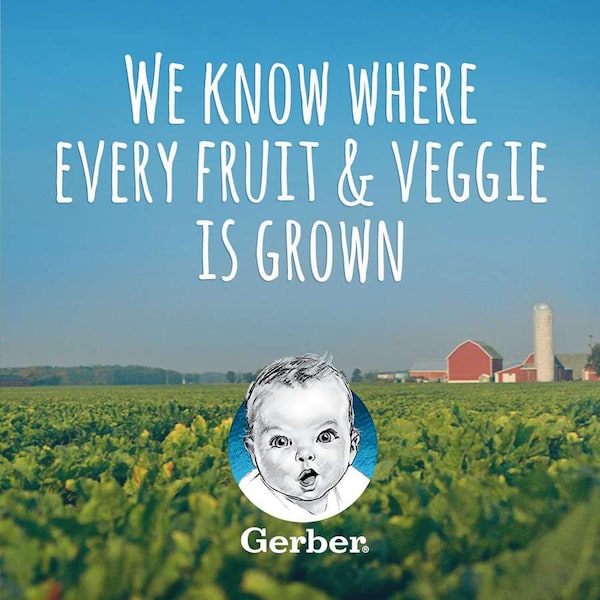 Gerber 2nd Foods Carrot Baby Food Kosher 4 oz., PK16